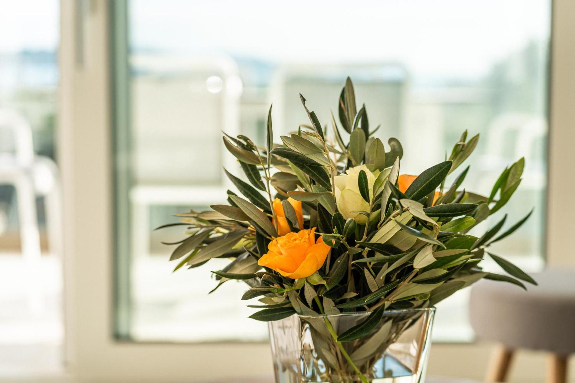 O'Life Boutique Apartments Водице Екстер'єр фото
